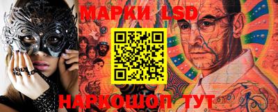 гидра Будённовск