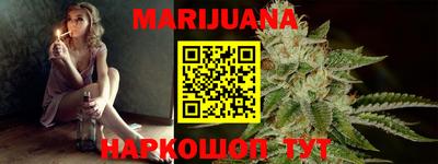 гидра Будённовск