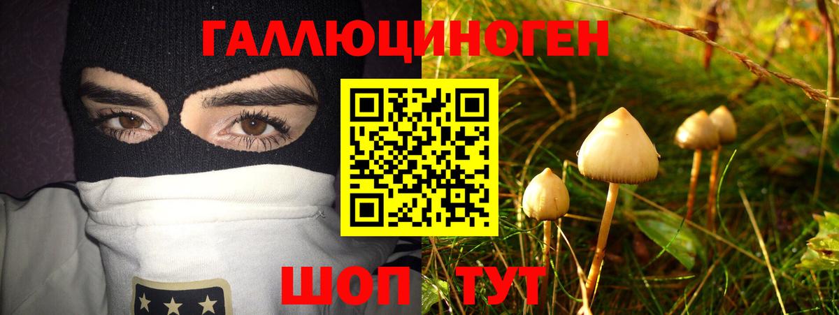 Морозовск  Псилоцибиновые грибы мухоморы  Вход с VPN  Псилоцибиновые грибы прущие грибы 